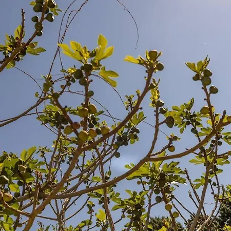 Quiet 50's - 12 P. - Private Park & Pool Holiday home Fources