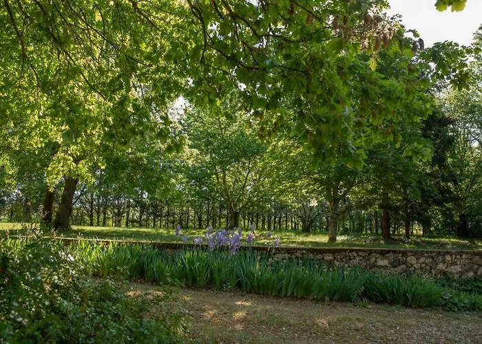 Quiet 50's - 12 P. - Private Park & Pool