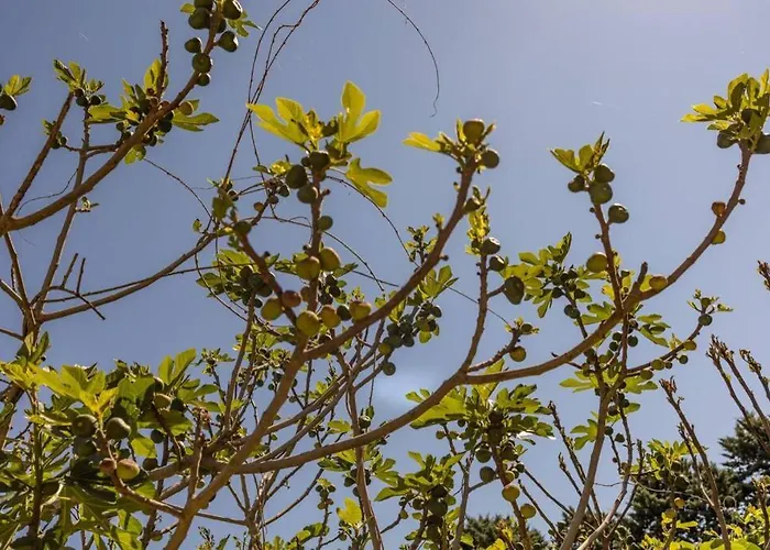 Quiet 50's - 12 P. - Private Park & Pool Vakantiehuis Fourcès